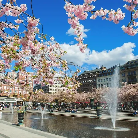  Tallink Ferry - Baltic Queen To Stockholm Tallinn